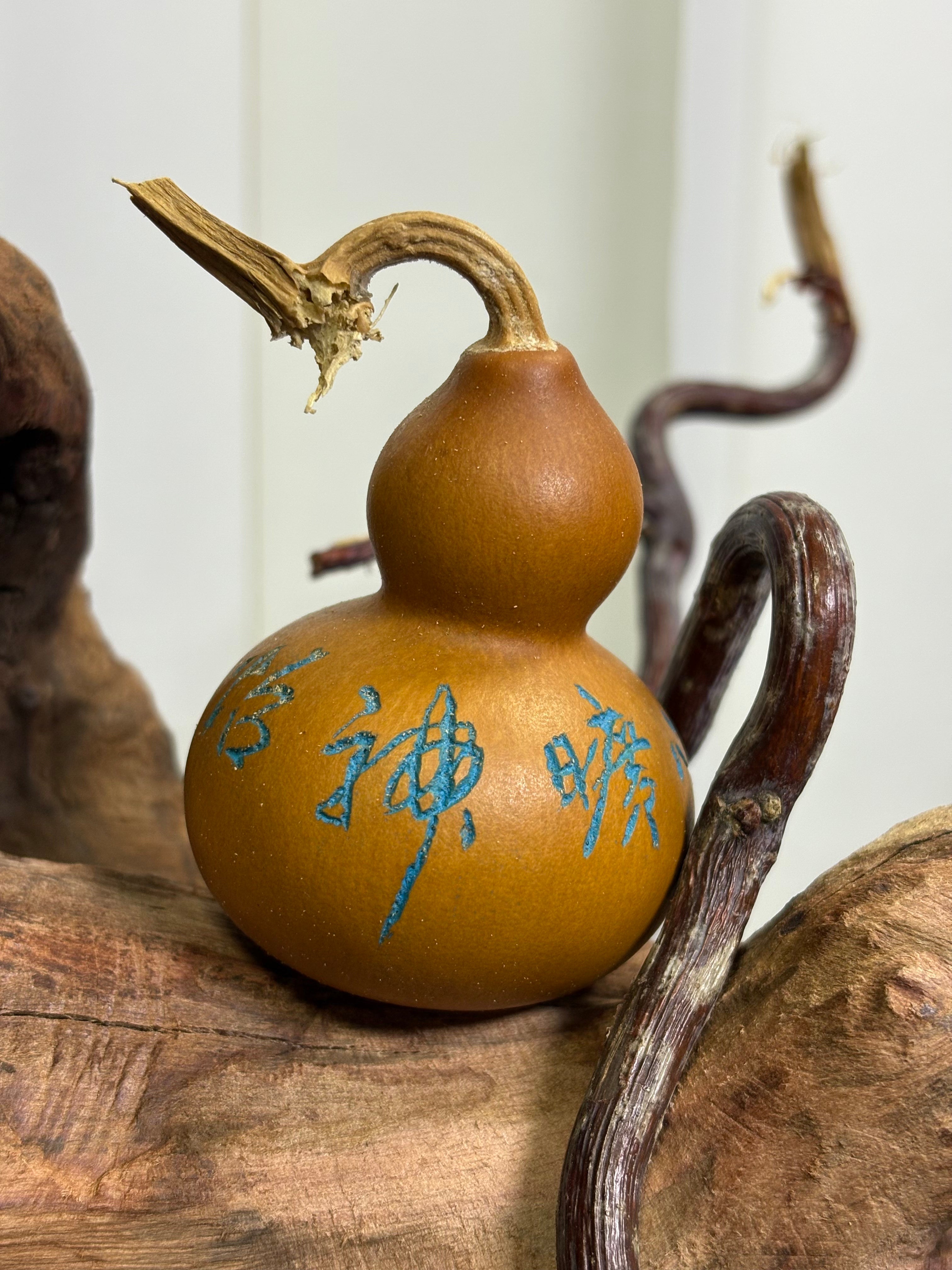 One of a Kind Gourd by 80 Year Old Calligraphy Master 2.36"