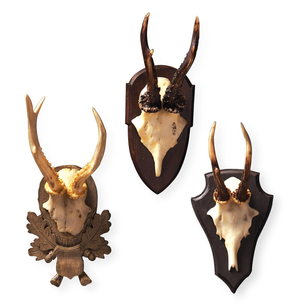 Alsace Hunt Club Reproduction Antler Wall Mount Trophy Set of 3