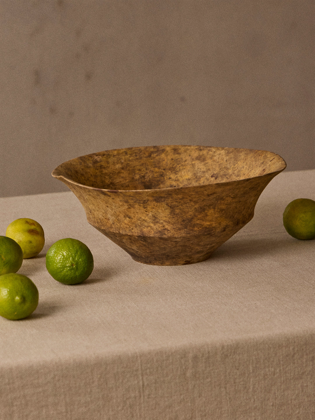 Iida Woodturning Hand-Turned Ilex Earth-Finish Bowl